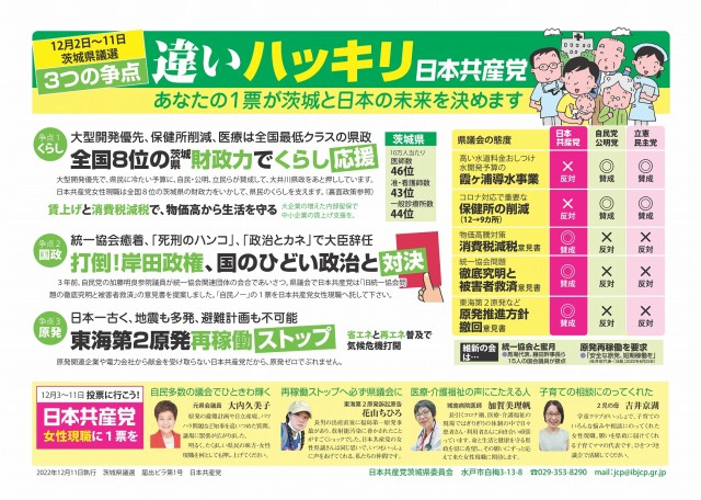 2022茨城県議選届出ビラ 第1号（江尻かな候補）表
